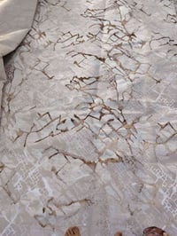 زولية • ٥×٤ • مستخدم قليل