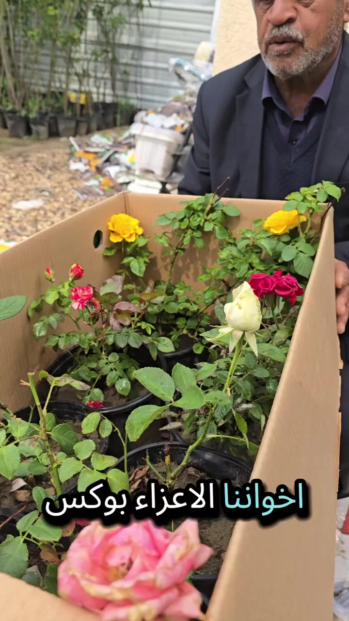بوكس الجوري ٢٠ الف ويا التوصيل لكل محافظات العراق 
مشتل الفاضلي للنباتات الداخلية الخارجية وكافة مستلزمات الحدائق 🌿
🪴🌴🌷🌳🪴🌷🌳🌴🪴🌷🌳🌴🪴🌷🌳🌴🪴🌷
عنوان الكوت طريق العمارة مقابل تمثال الشهيد عبد الرحمن ابو رغيف 
🪴🌴🌷🌳🪴🌷🌳🌴🪴🌷🌳🌴🪴🌷🌳🌴🪴🌷
يوجد توصيل كل محافظات العراق 🚘
اهلا وسهلا بكم في اي وقت 👋
تفضلو واتساب 📞 
***********📞
***********📞
