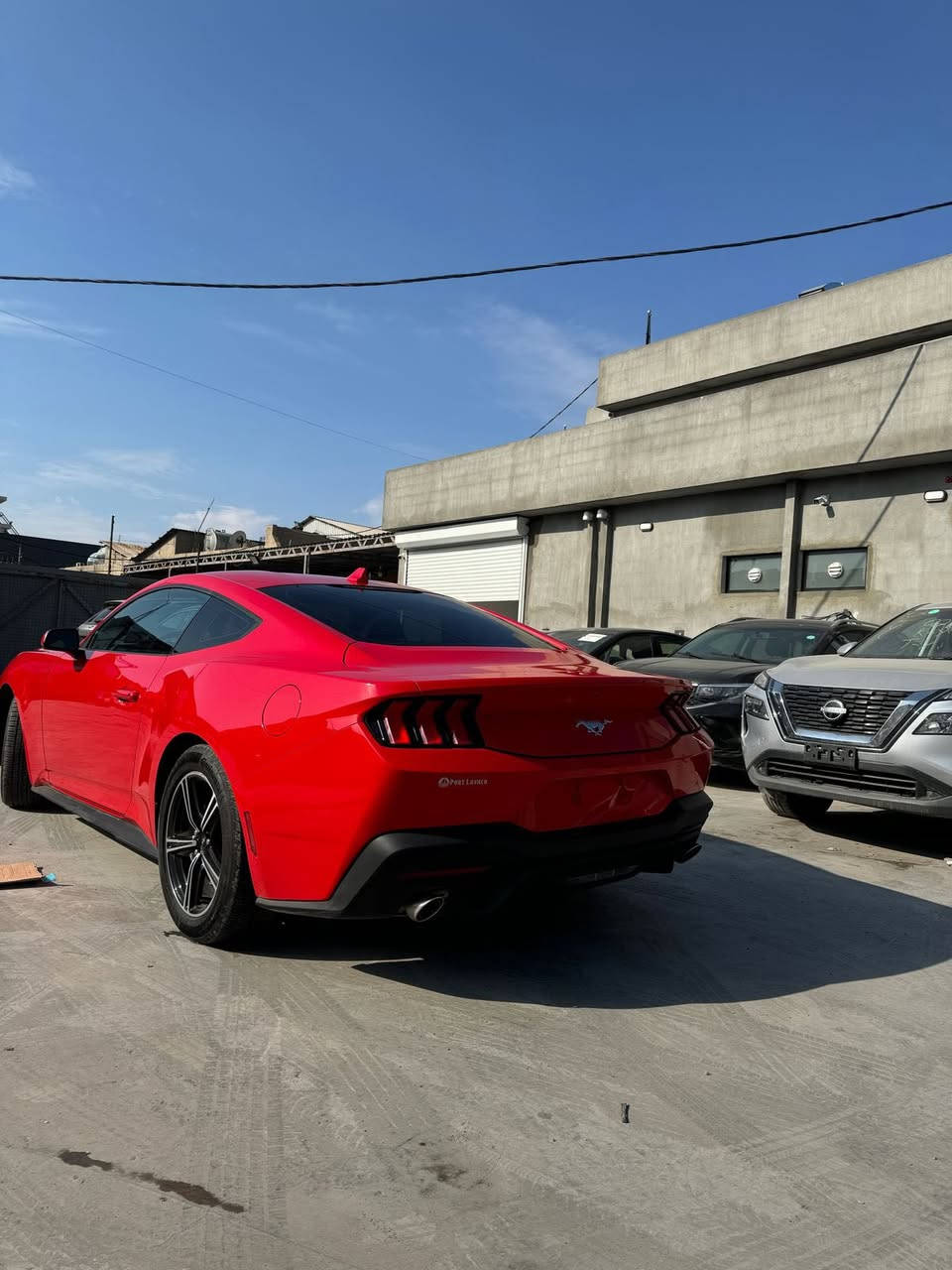 موستنك ايكو بوست 2024 شكل جديد فول عدا التشغيل عن بعد والشاشه المتصله
ماشيه 22 الف  حادثه باب مبدل ومصبوغ وربع الجاملغ سياره حيل نظيفه 
ولونها مميز عليها عطاس واويل جاك كان 
سنويه باسمي تحويل ثاني يوم رقمها اربيل
رقم الشاصي والحادث موجودات بلصور مكانها بغداد القادسيه 
السعر 264 ورقه مجالها جداً بسيط واسف ع اطاله
***********
