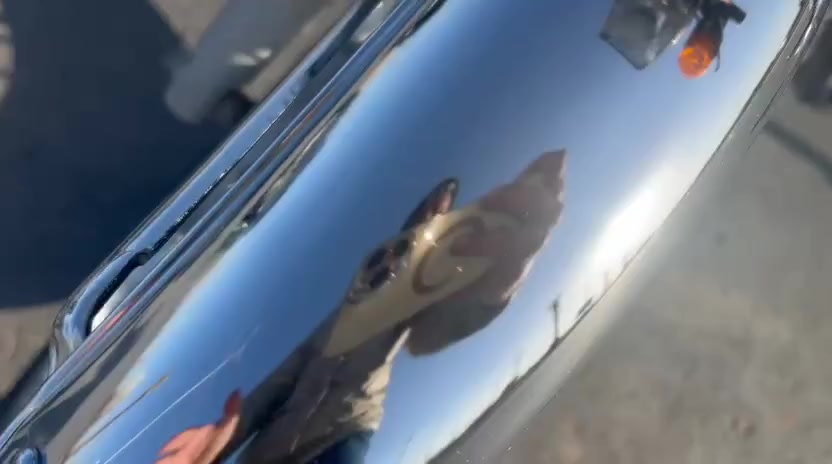 نامه شلامجه صلي مديل 23 البيع كفاله ***********
