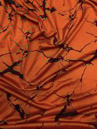 صوفيا موهير • كركوك سايدين • ٢٫٥م