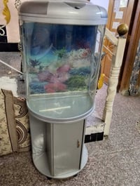 حوض سمك • نظيف • توصيل