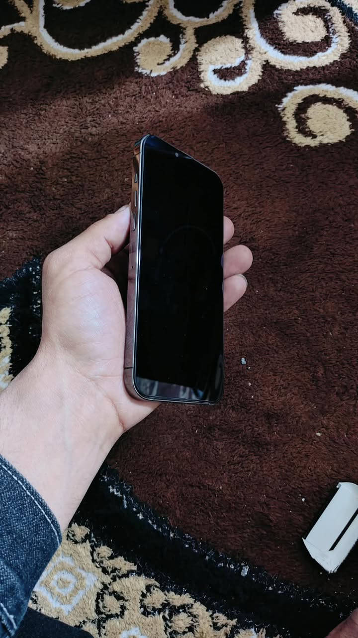 13ابرو ماكس
ذاكره 256
امبدله شاشه أو بطاريه 
شرط احسن نوعيه 
أمه البقيه شرط الحاسيبه 
جهاز شرط لا بيه طخه واله شخطه 
فيس إيدي شغال 
تك سيم كارت 
جهاز مال جناي 
صوره الكاميره موجوده 
اله دمعه 
سعر 457 بيه مجال بصيط


**إذا كنت صاحب هذا الإعلان وتريد حذفه لأي سبب، رجاءا أرسل رسالة إلى الدعم الفني**