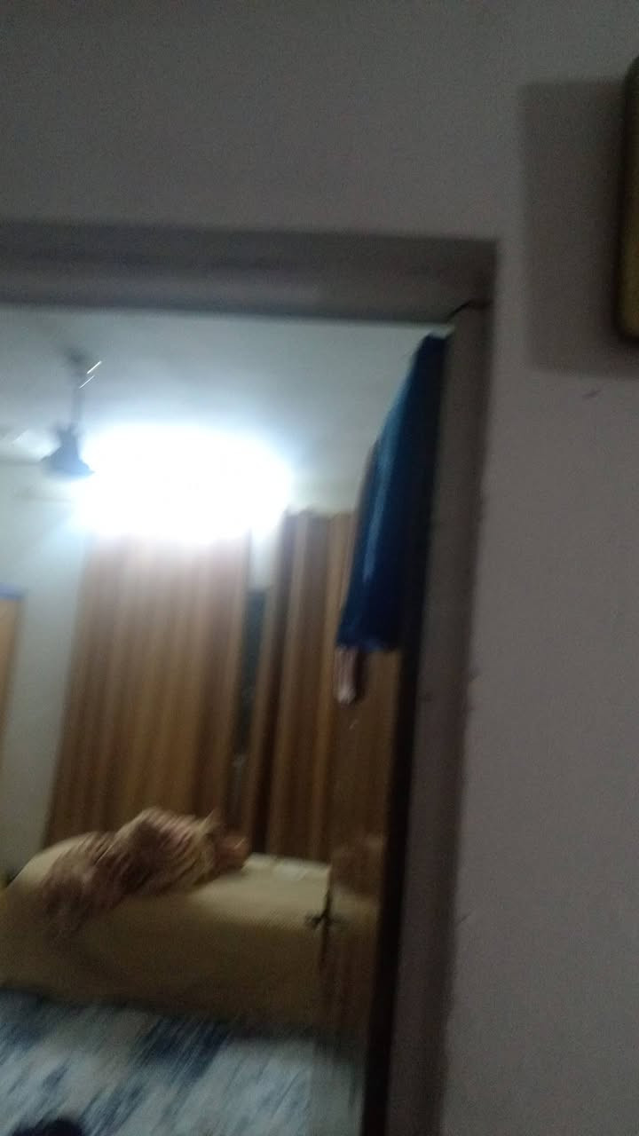 نصف شقة للبيع قرب مستشفى الزعفرانية


**إذا كنت صاحب هذا الإعلان وتريد حذفه لأي سبب، رجاءا أرسل رسالة إلى الدعم الفني**