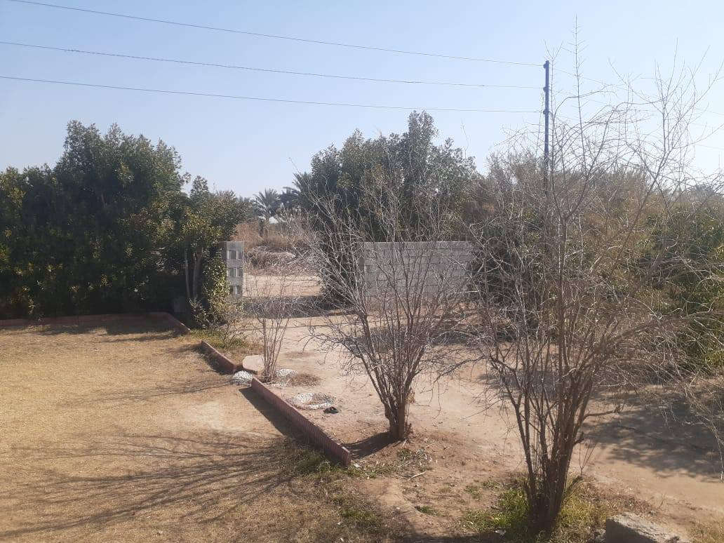 السلام عليكم ارض زراعيه ٢دونم طابو سند ٢٥ مع كافه الخدمات مع بيت مع بستان صغير وجه شارع تبليط مدارس تبعد عن المدينه ٤ كيلو خمس دقايق المكان الصويره مركز المدينه السعر الكلي ٩٠ مليون وبيهن مجال ***********
