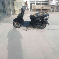 دولفين • ماشي قليل • شاميه