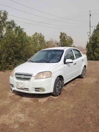 افيو خليجي • ٢٠١١ • محرك جديد