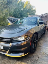 دوج تشاجر • ٢٠١٧ • ويل ٢٠