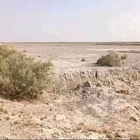 أرض زراعية • ١٢ دونم • بدون سند