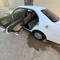 سنوية ٢٠٣١ • البصرة كرمة علي • غير مكفولة