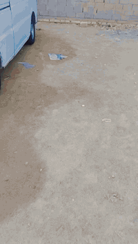 السلام عليكم شيري موديل 12 سياره جاهزه من كل شيء رقم انجليزي مداور ثاني يوم سياره ما عايزه كل شيء سعر على الخاص ***********
