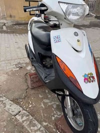 عدله 55 بلدية • مزودة بلدي • مدينة جوادر