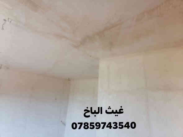 سلام عليكم لباخ متفرغ شغل اشراف مهندس مكان نجف كوفه رقمي ***********
