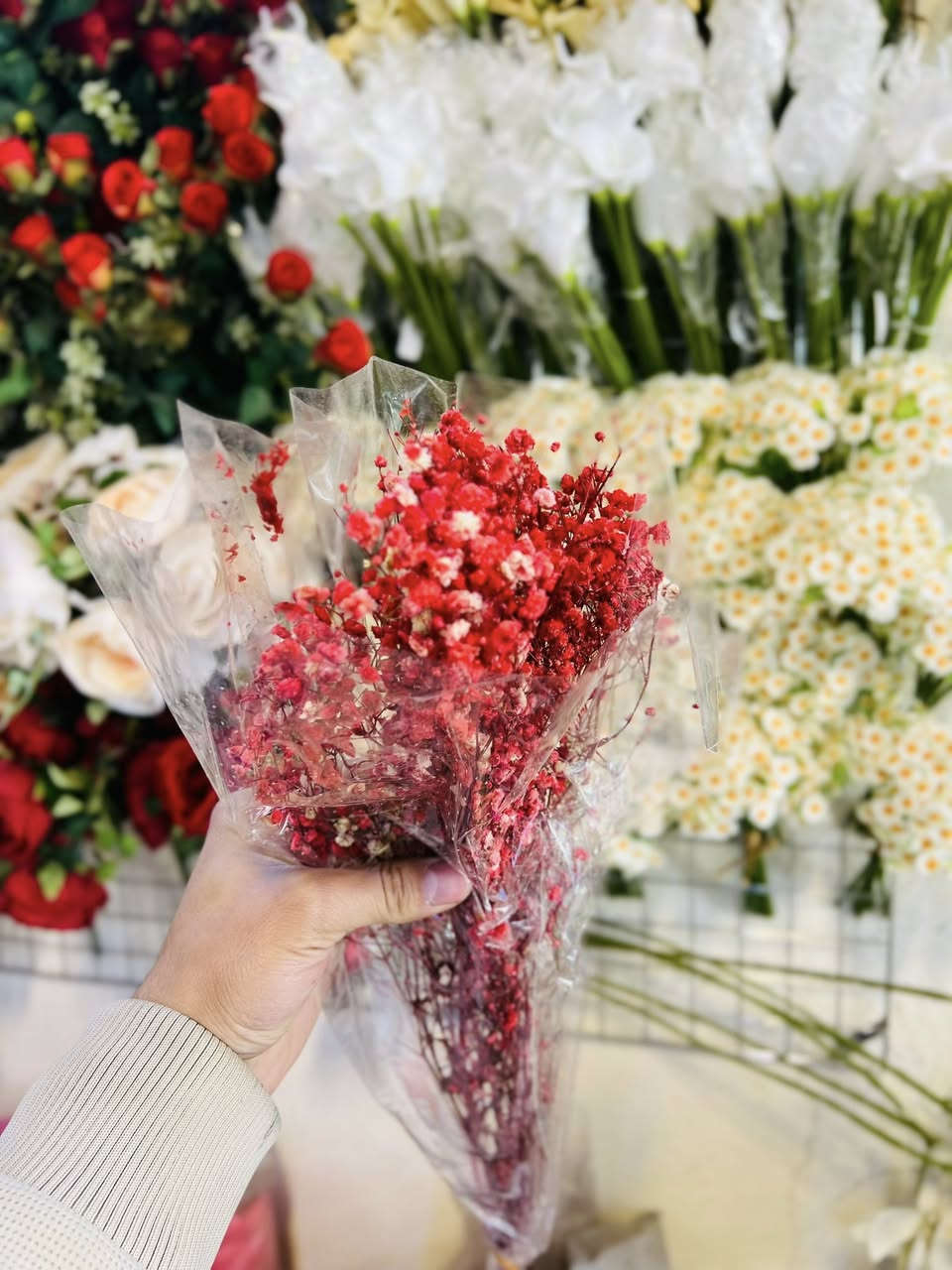 مساء الخير زبائن متجر اللؤلؤة 
توفر جميع الوان ورد🌷 الجبسوفيل المجفف ب اسعار تنافسية
 عنوانه : طويريج حي المثنى شارع الفوج 
للتواصل واتساب :***********
