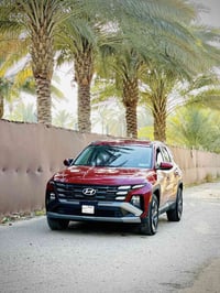 توسان ٢٠٢٥ • حادث مصلح • أحمر دم الغزال