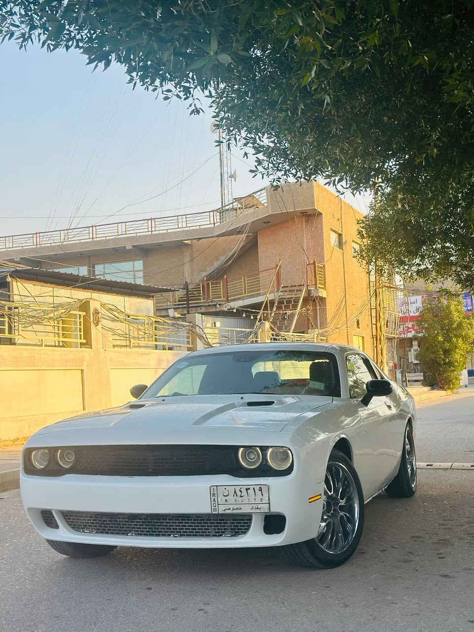 دوج جالنجر
2010
هيمي  5700
كير محرك مكفول
رقم بغداد
حادثه طخه بجاملغ الامامي وبيهه طخات صبغ عام 
قماره شواصي كفاله شرط وبدون ايرباك
صدر امامي جديد
ويل اصلي مصل كار وتخم تاير بجيس مصار شهر
بجم محدث ومنضومه زنون
فول موصفات فتحه سقف 
كشنات جلد 
جاهزه السياره 
عارضهه ١٠٠
وبيهه حك للجيه 
مكاني صويره
***********
