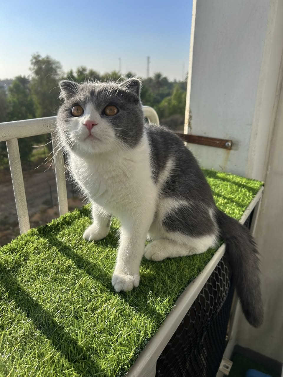 حجي سمبل طالب انثى للتزاوج على سنة الله ورسولة😂😂😂😂😂😂💔هيلب بليز


**إذا كنت صاحب هذا الإعلان وتريد حذفه لأي سبب، رجاءا أرسل رسالة إلى الدعم الفني**