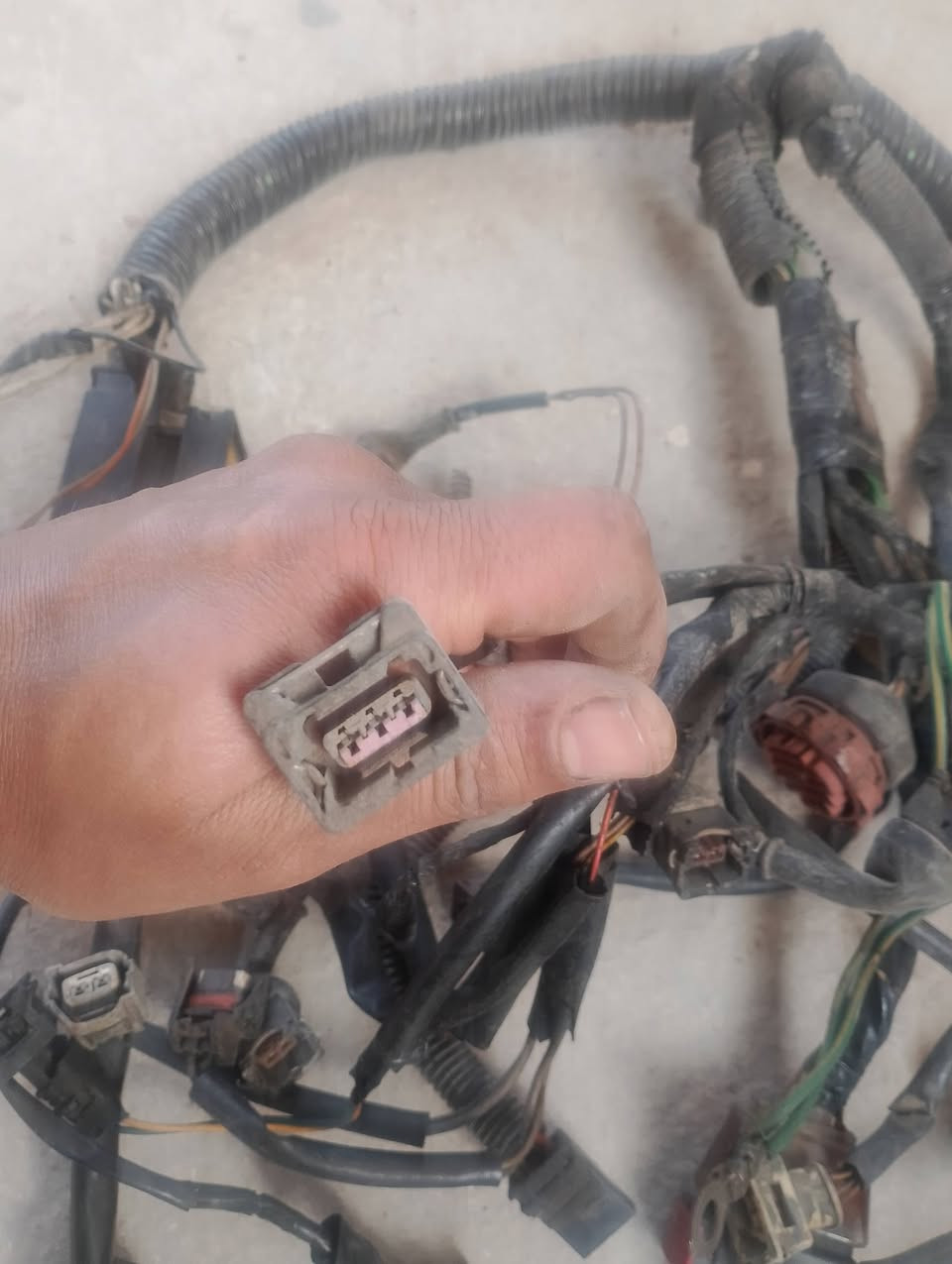 ضفيره سمند للبيع بغداد مدينة الصدر


**إذا كنت صاحب هذا الإعلان وتريد حذفه لأي سبب، رجاءا أرسل رسالة إلى الدعم الفني**