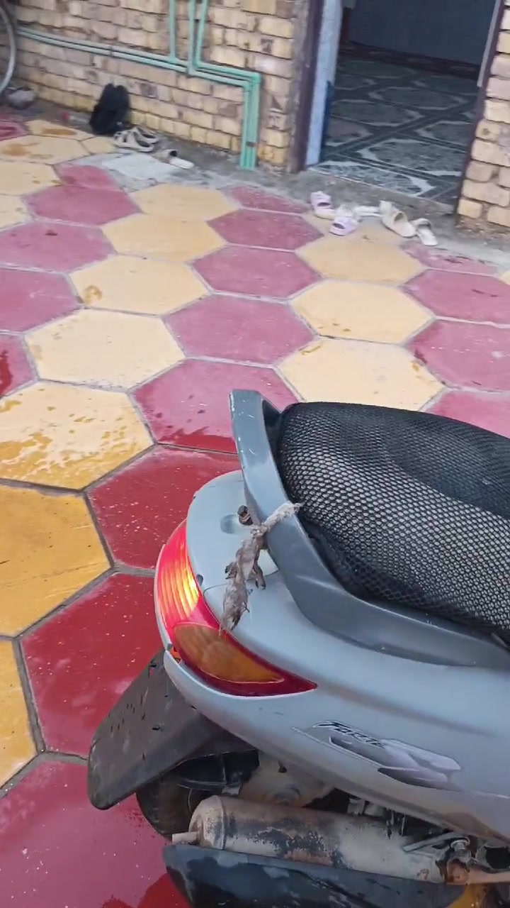 السلام عليكم فراشه جاهزه من كلشي سلف هندر كهربائيات كامله بس بيها تبخير قليل للبيع او مراوس