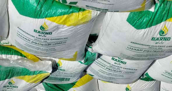 سلام عليكم يتوفر لدينا سماد ايراني نوعية جديدة جملة ومفرد يحتوي على نيتروجين وكبريت عالي الجودة....مضاهي للكرمنشاه 
العنوان بابل الحمزة الغربي 
***********
