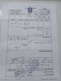 السفحة الثانية • ١٠٠م • هيكل