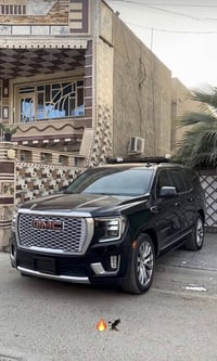 دينالي • ٢٠٢٣ • مشي ٣٣٠٠٠