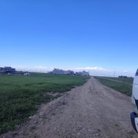 قوسيات • ٢٠٠م • سند زراعي ٢٥