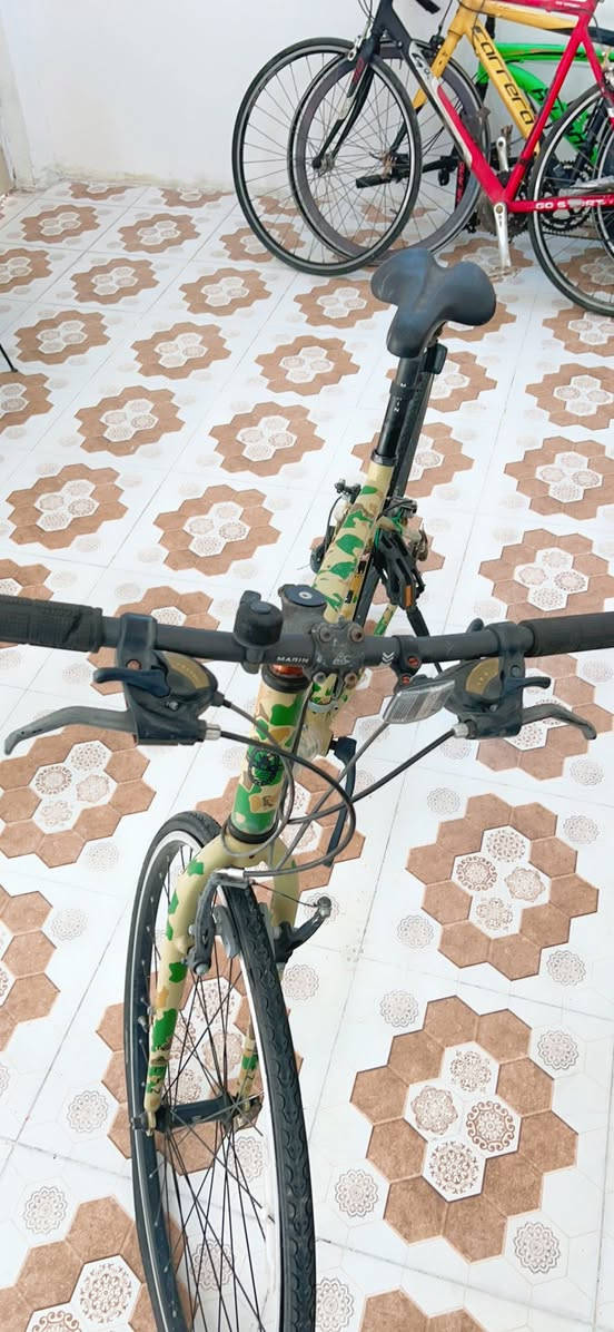 السلام عليكم
بايسكلات ماركه رمبه ما مستعملات بالعراق
فول نظافه 
الواحد 175 
***********
