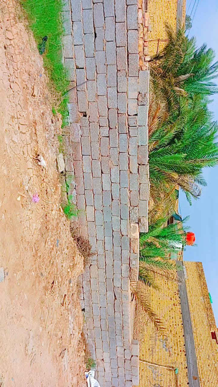 قطعه زراعيه ركن على شارعين واجه16م خلف محطة عبد الحسن ملاغي  منطقه حي الضباط قرب محلات ابو حسين  مساحه 240م مسيجه. 
 كهرباء 
سحب انبير 
 وماء اساله
انترنيت الضوئي
  استفسار اكثر ***********ابو حسين واتساب او اتصال
