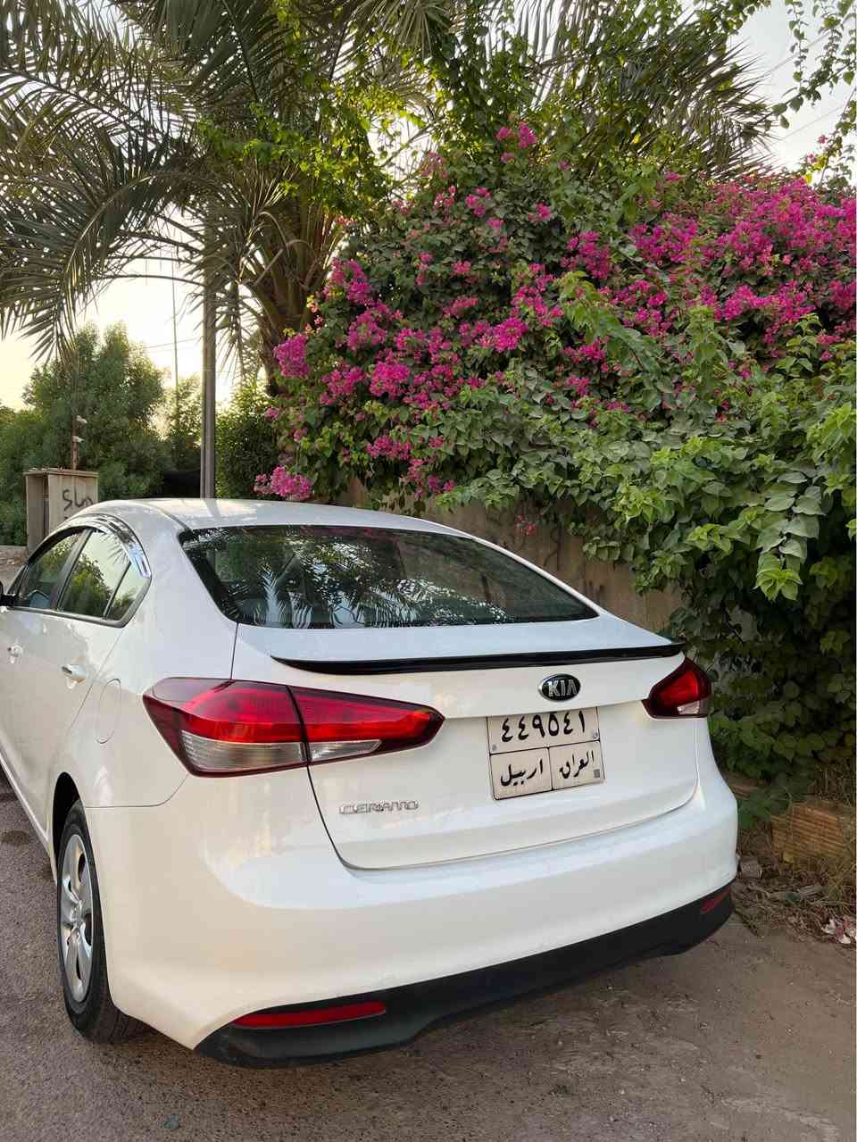 السلام عليكم
سيراتو 2018 خليجي
مكفوله من الصبغ والتبديل كفالة عامه مجرد بارد شبر بل باب الصدر  وبيه شكم رصعه مبينات بل صور غير هاي مكفوله 
محرك 2000 دوش 
كير at
فتحه 
لد نهاري
مري شفط
كاميرا
تحكم ستيرن
كاعيه مدوشمه جلد
ماشيه ٨٥ كيلو حقيقي فقط  
محرك كير مكفول
رقم اربيل  بسم شركه سعد محمود زيباري رقم قديم  وهزه ساقطه 
مكاني  بغداد الصليخ
السعر ١٤٩ وبيه مجال 
رقم صاحب السيارة 
*********** بغداد, العراق
