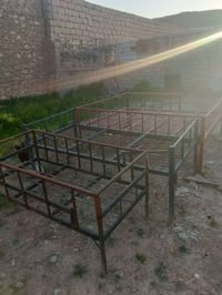 ٠٧٧٣٢٨٤٢٩٥٣