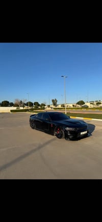 تشارجر RT • صبغ • أربيل
