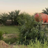 دونم طابو مع منزلين على طابو المحموديه  مقابل مفرق يوسفية الدولي السلا...