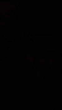 موطور تايگر 2020 شرط مو مفتوح السعر 400 07503967013