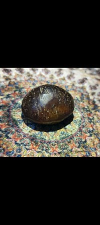 قديمة • مشكولة • بدون مبادلة