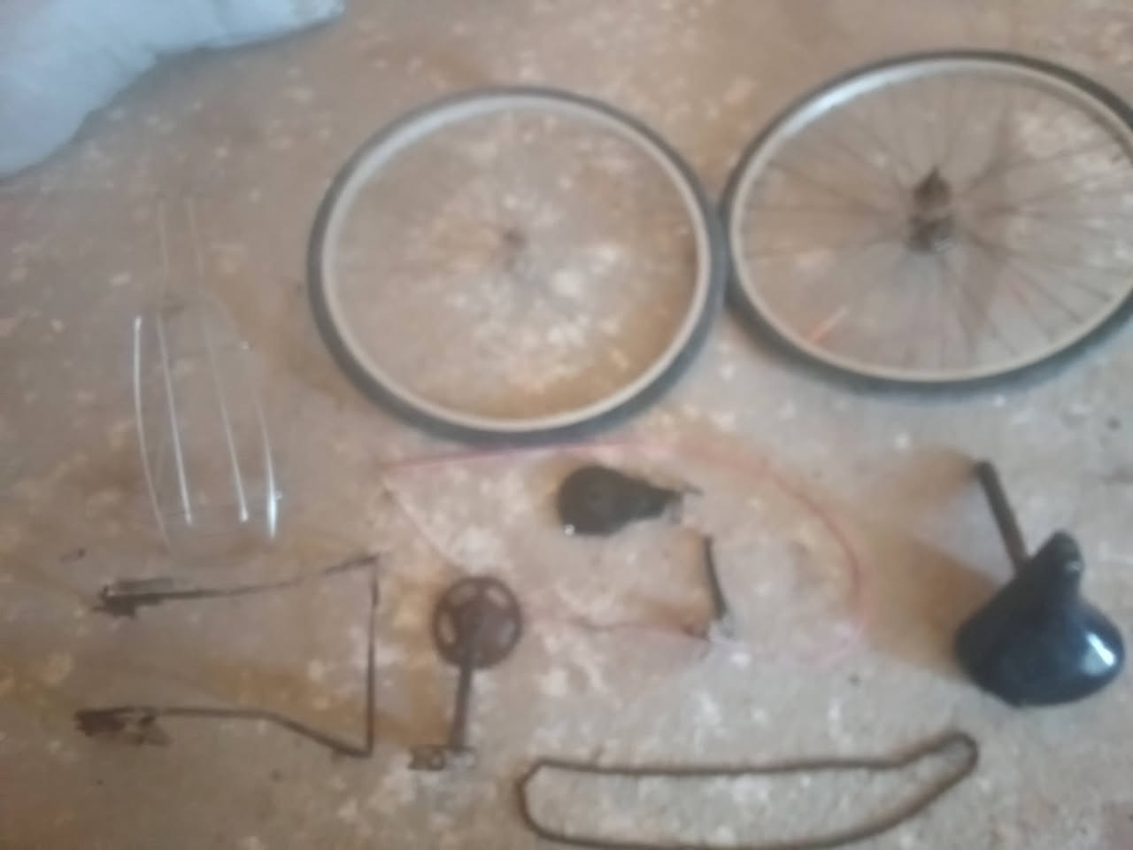 لبيع سعر 30وبيه مجتل مكاني رفاعي طريق سيد احمد سم صفحتي حيدر دراجي راسني


**إذا كنت صاحب هذا الإعلان وتريد حذفه لأي سبب، رجاءا أرسل رسالة إلى الدعم الفني**