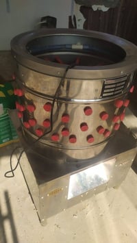 دجاج ١٠ايام • مستعمل • كربلاء