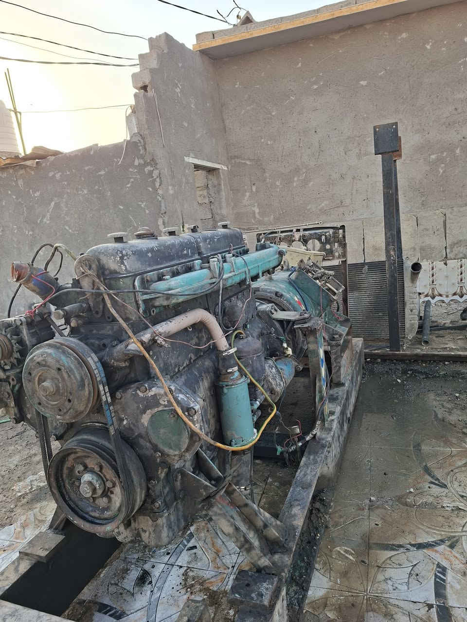 اسكانيه 112 راس توليد 250 كيفي /  ***********
