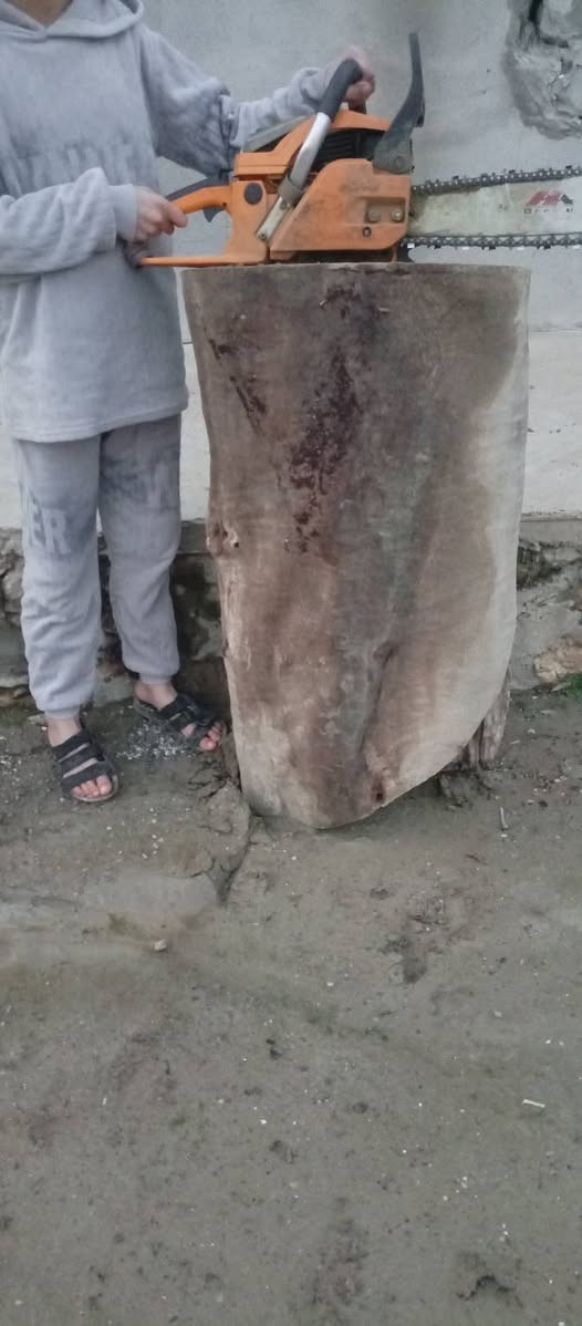 السلام عليكم سجر كالبتس يرهم حطب ويرهم مال گصاصيب
***********
