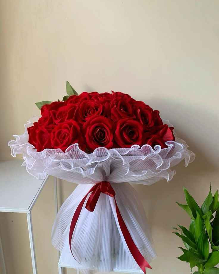 ‎بۆ ئەم ئەو ئەزیزانەی تەخەروجیان نزیکە ئێستا ئەتوانن داوای گوڵ بکەن بەهەرزانترین نرخ‎ السليمانية, العراق


**إذا كنت صاحب هذا الإعلان وتريد حذفه لأي سبب، رجاءا أرسل رسالة إلى الدعم الفني**