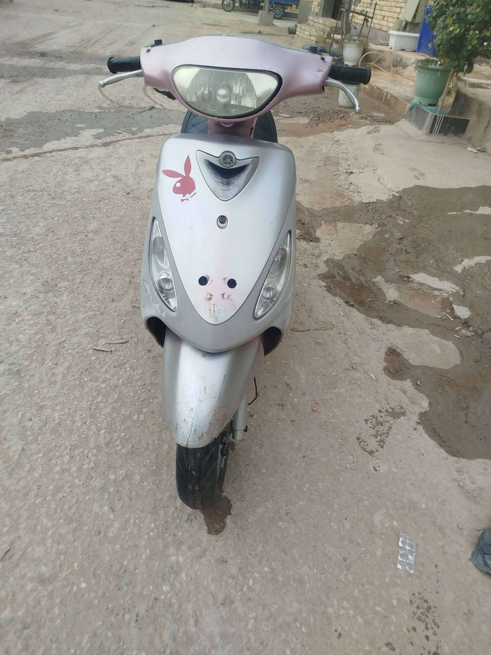 رمبه مكفولة


**إذا كنت صاحب هذا الإعلان وتريد حذفه لأي سبب، رجاءا أرسل رسالة إلى الدعم الفني**