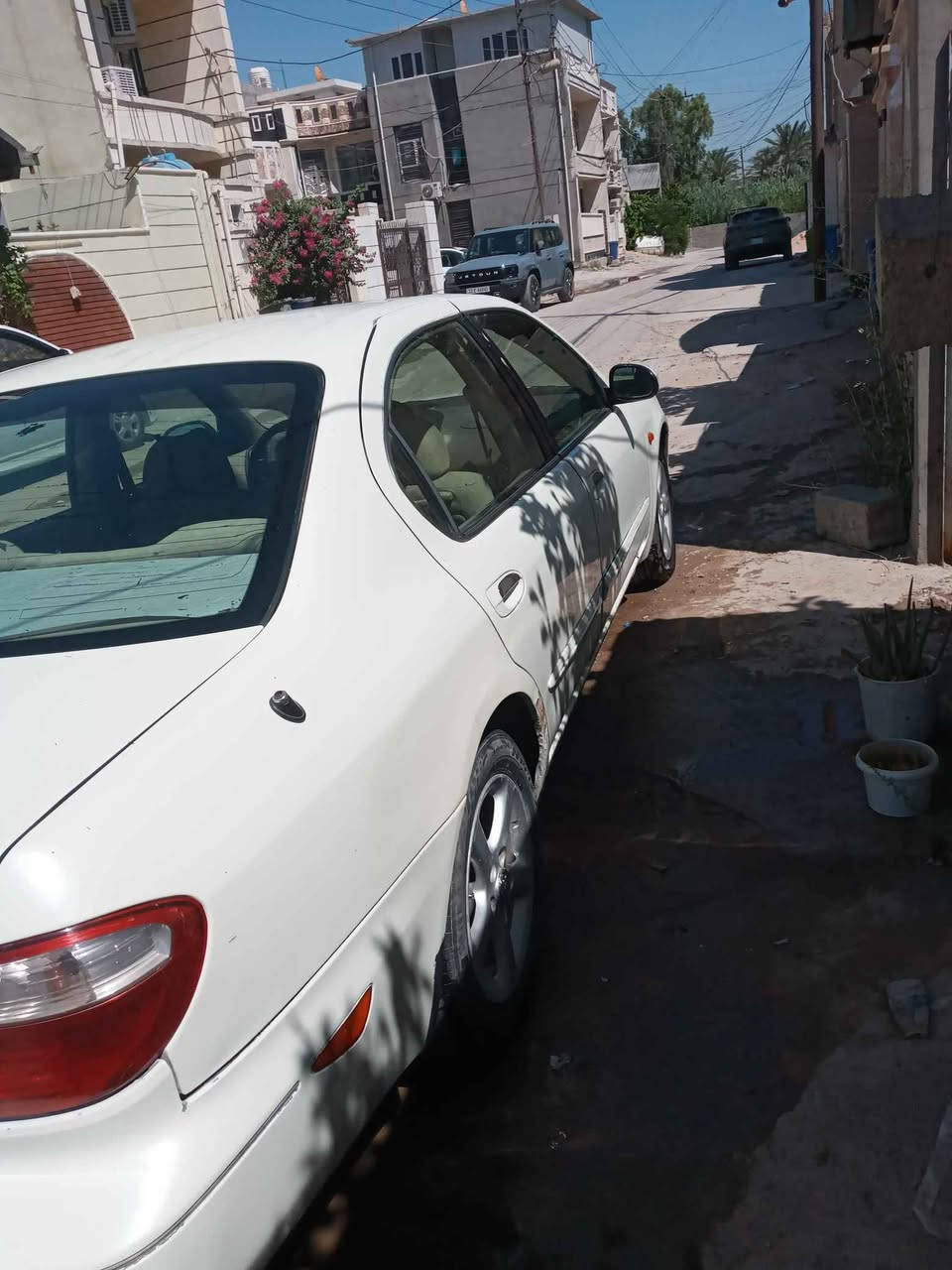 للبيع او مراوس نيسان مكزيما2004بيها خربطة خفيفة بالمحرك معرف السبب وموصلتها الفيتر ابيع هيج محرك بدون لا صرف ولا تبخير كير كهربأيات جيدة تبريد شغال او مراوس السعر50ورقة عنواني بغداد الدورة بغداد, العراق


**إذا كنت صاحب هذا الإعلان وتريد حذفه لأي سبب، رجاءا أرسل رسالة إلى الدعم الفني**