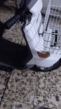 السلام عليكم بيكم ياباني سلف وهندر شلعه معدل نضافه فول شرط الفحص كهربائيات كامله اوراق كامله دراجه كل نقص مابيهه سعرر ٥٠٠ بيهه مجال قليل مكاني بغداد الحبيبيه قرب فلكه ساحه الحمزه ***********
