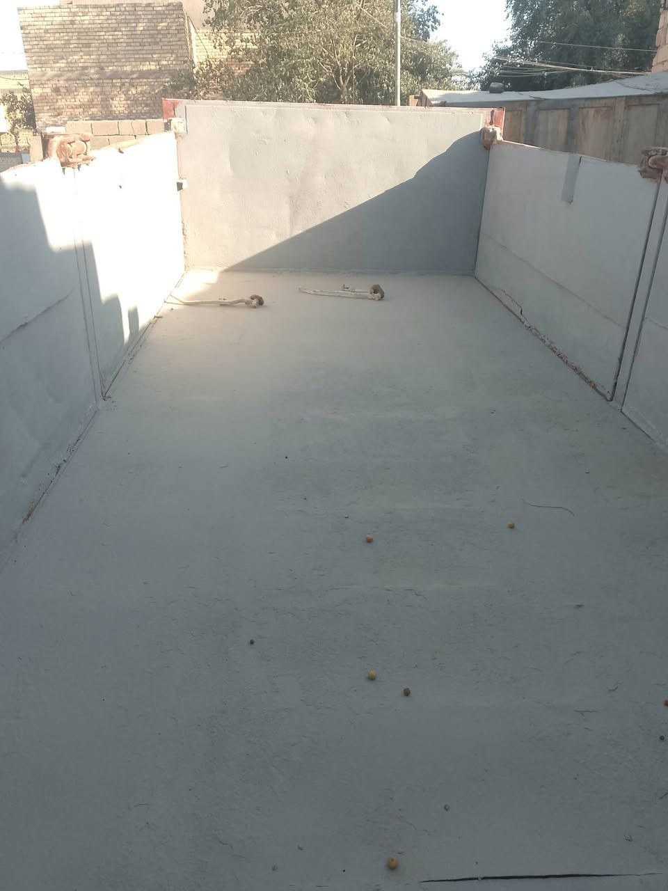 بدي عقرب بيع أو مراوس بحوضي او عدل ***********
