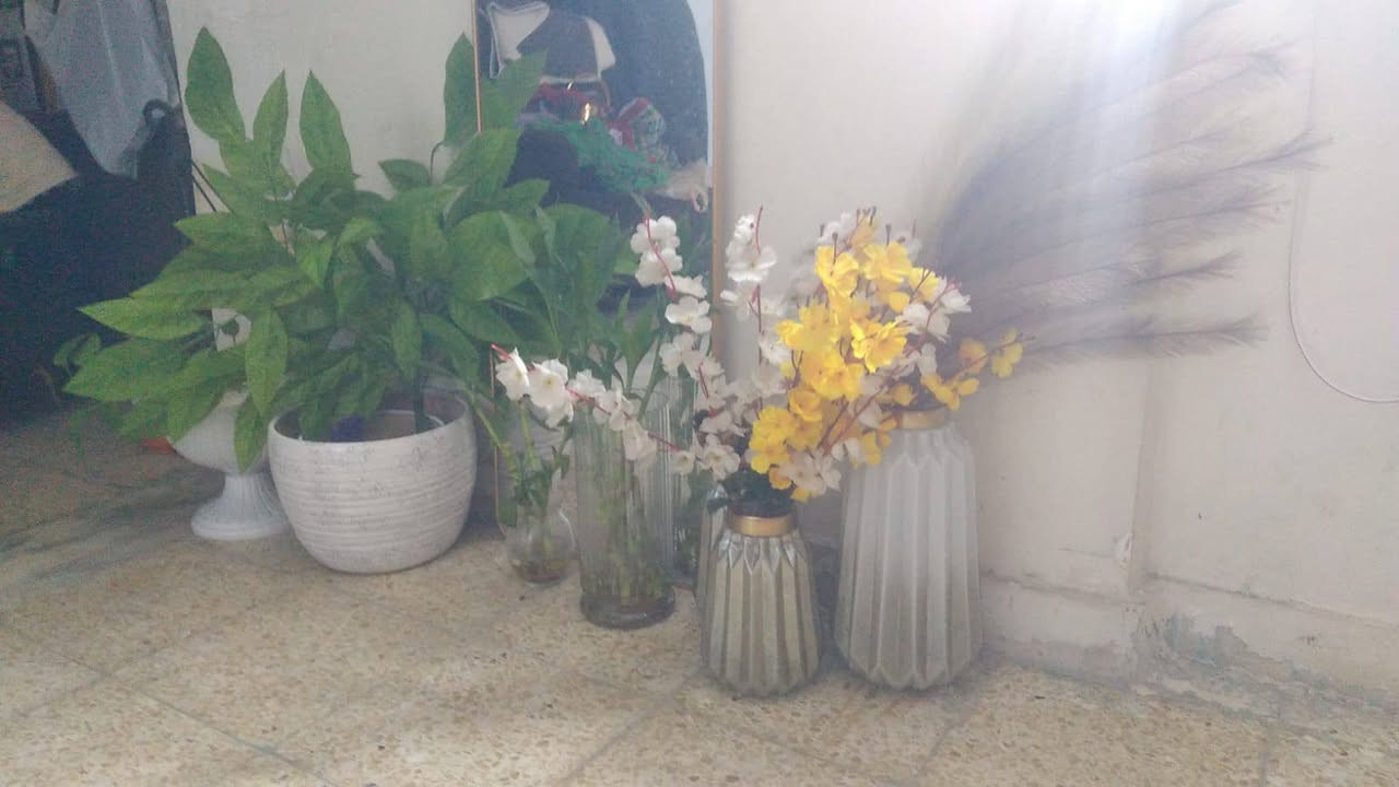 مساء الخير ...اغراض منزل جديده للبيع ...للاستفسار المراسله واتساب على الرقم    ***********
العنوان كرادة داخل 
#مكلف بالنشر
