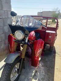 ستوته • موديل 2019 • أوراق كاملة