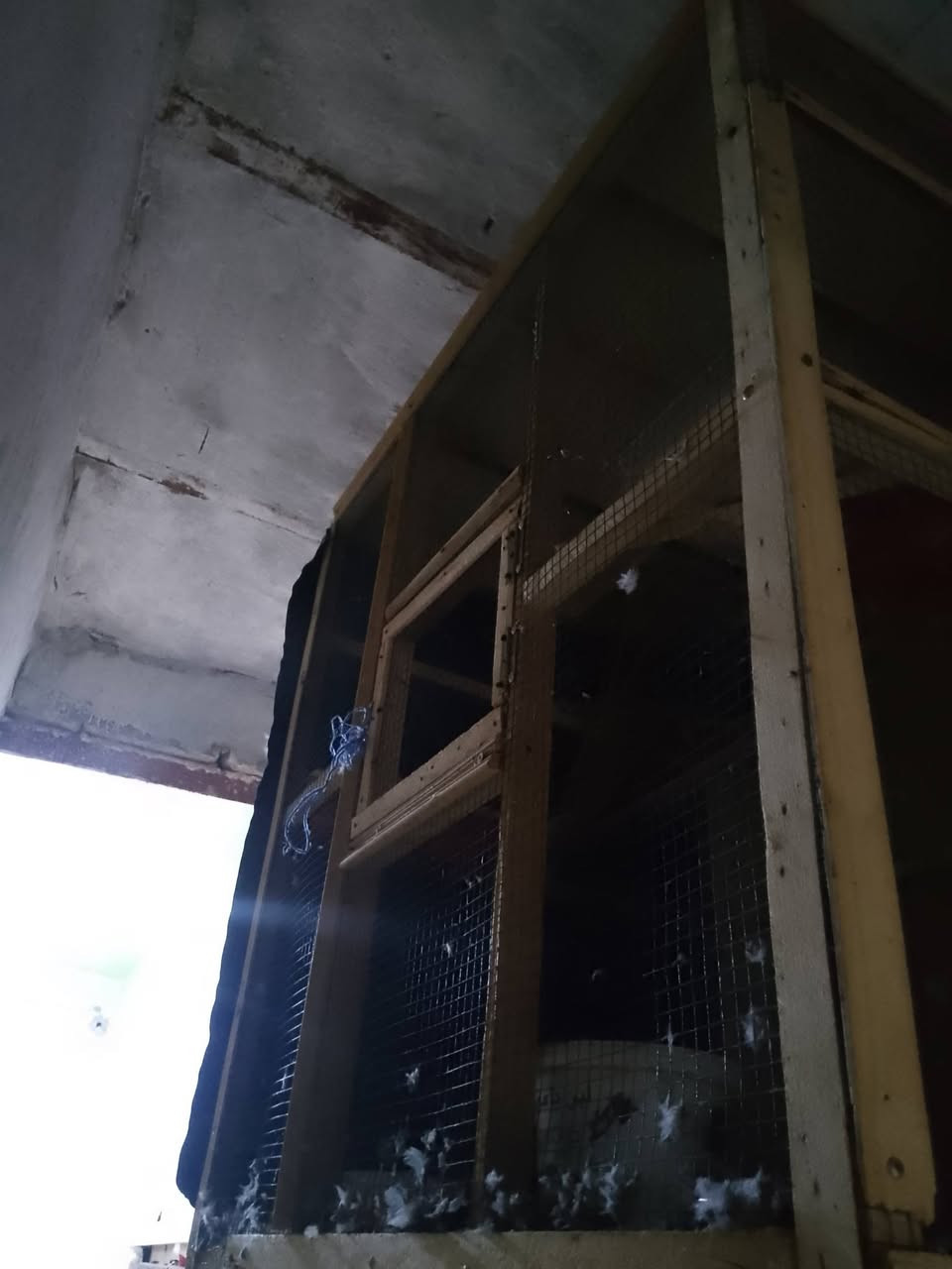 سلام عليكم قفص للبيع نجارا كلش نضيف سعر 50 مكاني كرمه علي حي الرساله


**إذا كنت صاحب هذا الإعلان وتريد حذفه لأي سبب، رجاءا أرسل رسالة إلى الدعم الفني**