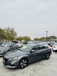 التيما SV • ٢٠٢٢ • بدون صبغ