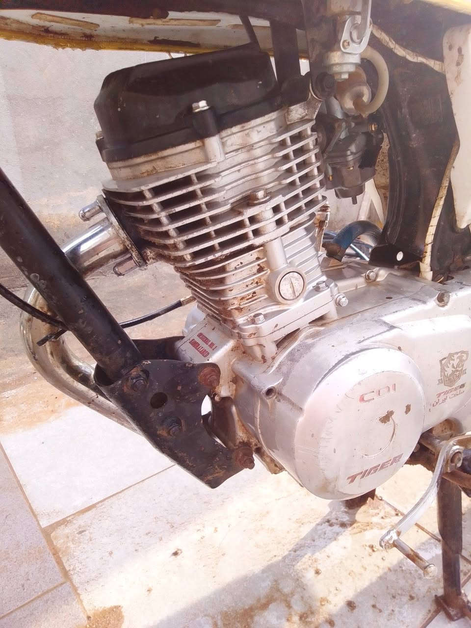 ***********تايكر اللبيع 300كلك مكفوله
