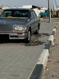 ارنب كصيف • 1995 • رقم بصره